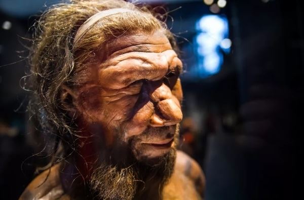<br />
Насколько умны были неандертальцы<br />
