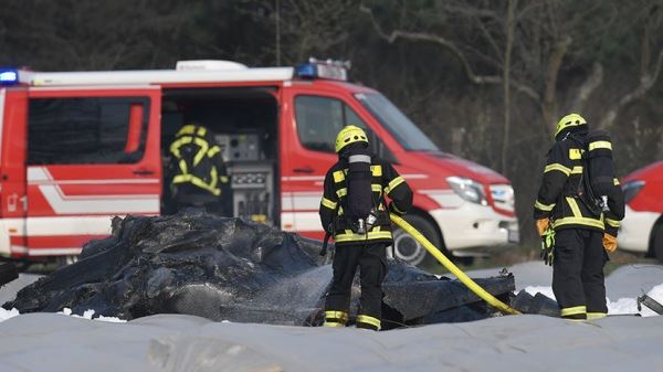 «Пилот не сообщал о неполадках»: совладелец S7 Group Наталия Филёва погибла в авиакатастрофе в Германии